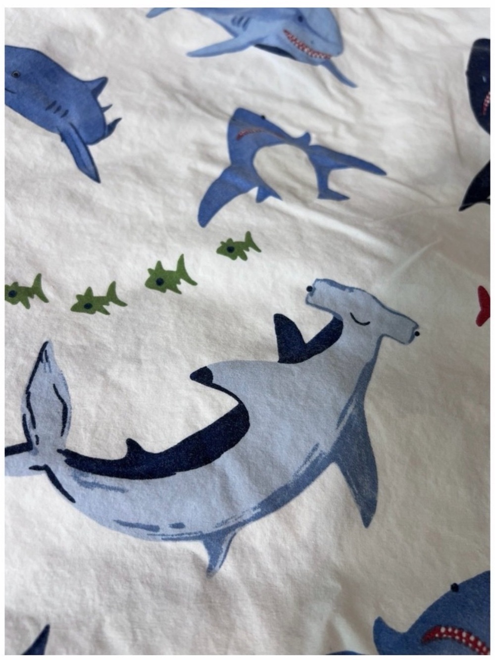 Pottery Barn Shark Twin Sheet Set